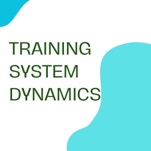 pelatihan SYSTEM DYNAMICS di jogja